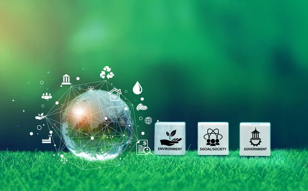 Energy Policies
